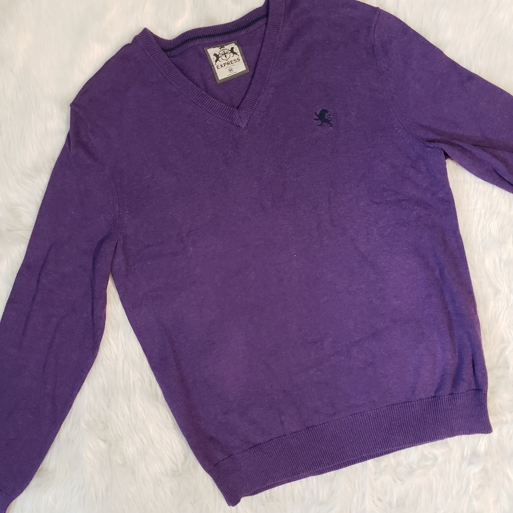 Express Mens V-Neck Purple Long Sleeve Sweater